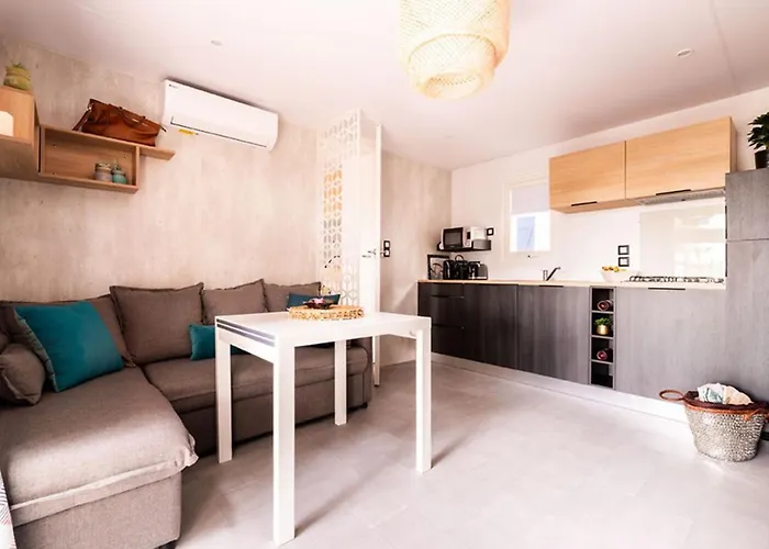 Mobil-home 5 Pers Avec Terrasse A - Api-1-52-829 *